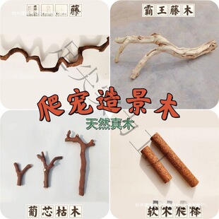 �����쾰ľ���ָ��߽޽��،m�ת{����������̨���y��ľ��֦��