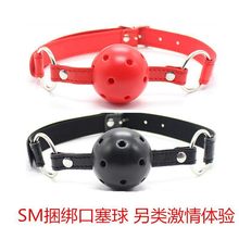 sm��������Ů�����γ�����Ȥ������Ʒ��������ڼ������������`