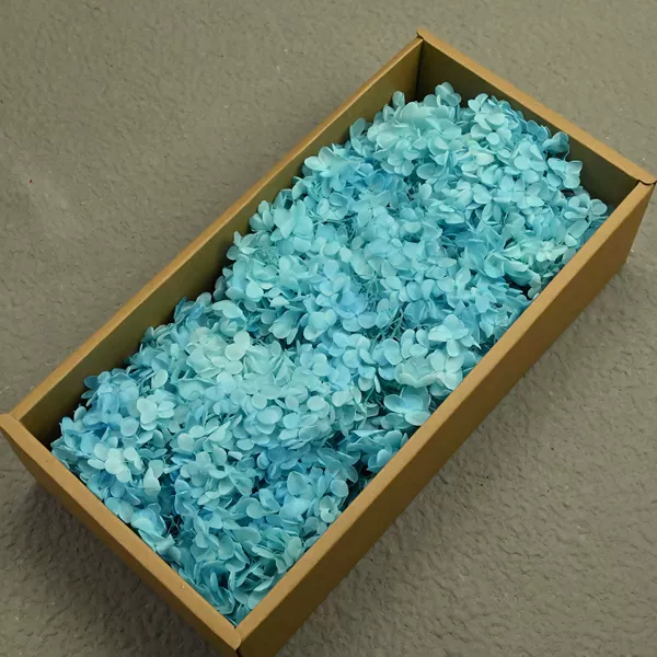 AB wood hydrangea light blue (100g)