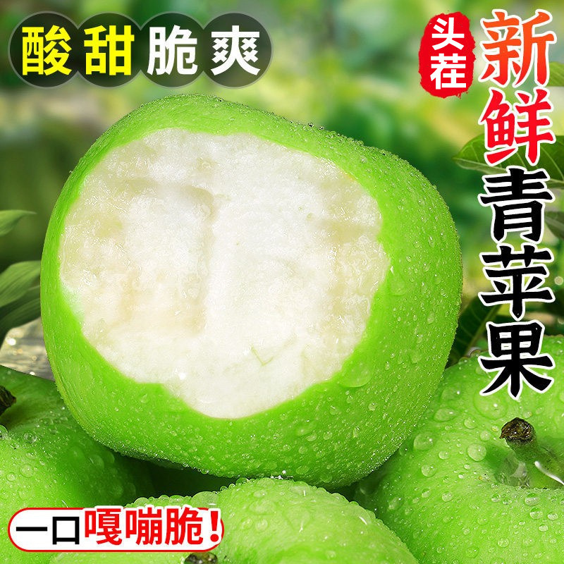 Freshly Picked Green Apples, Seasonal Fruit for Pregnant Women, Sour and Crisp, Sweet Green Apples, Fuji Wanglin Small Apples, Whole Box with Free Shipping Freshly Picked Green Apples, Seasonal Fruit for Pregnant Women, Sour and Crisp, Sweet Green Apples, Fuji Wanglin Small Apples, Whole Box with Free Shipping