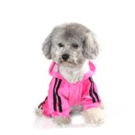 宠物服装天鹅绒运动服四脚衣泰迪柯基法斗犬衣服工厂秋冬保暖狗狗