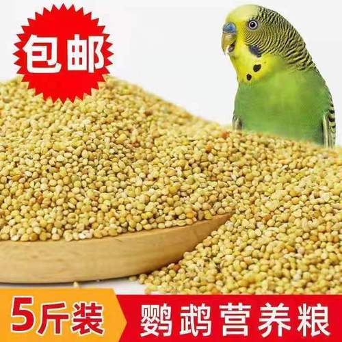 Yellow millet red millet bird food black phoenix peony budgie mixed feed civilian bird jade bird pearl breeding bird food