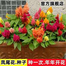 �Pβ�N�ӹڠ��u�ڻ��ļ��N�����������ͥԺ�̨���������ļ��_��