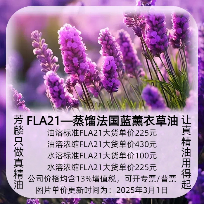 FLA21—蒸馏法国蓝薰衣草精油  芳麟真工厂 澳洲茶树油 香薰精油