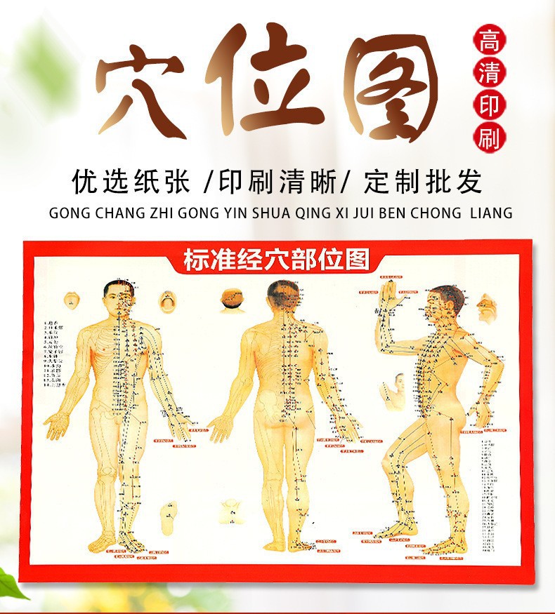 Acupoint Chart Body Meridian Map A5 Face Head Massage Reference Poster for Adults preparation