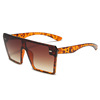 Sunglasses suitable for men and women, overall, glasses, suitable for import, European style