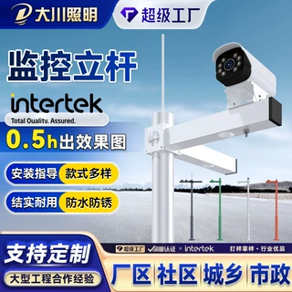 交通道路监控立杆3.5米4米小区公园景区监控立柱抓拍立柱监控立杆