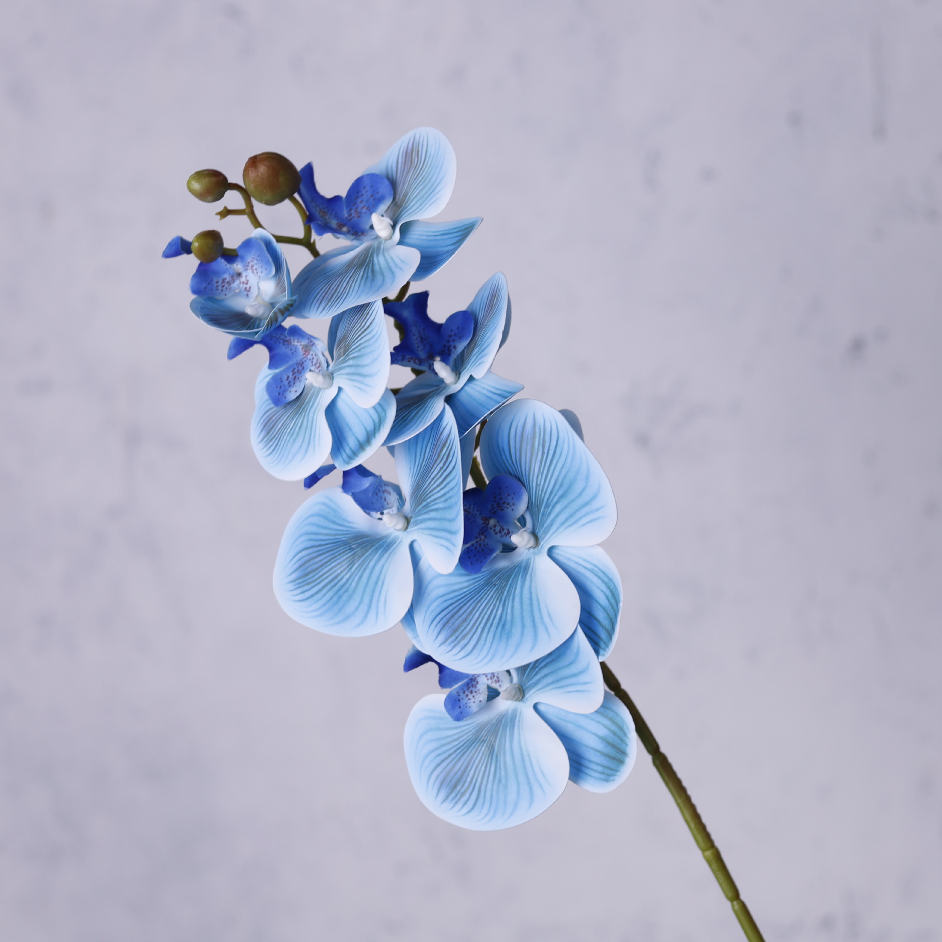 Impresión 3D de 7 cabezas de orquídeas mariposa flor de decoración de flores de alto nivel flor de nicho decoración floral decoración de sala de estar