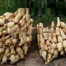 \ˮźNɏźNźˮźN ߮aʳɏźN źź1