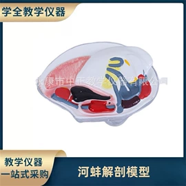 教学演示用品;教学仪器;生物教学器材