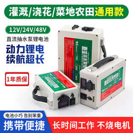 供应直流潜水泵12V24V48V锂电池农用灌溉抽水机蓄电池20AH大容量