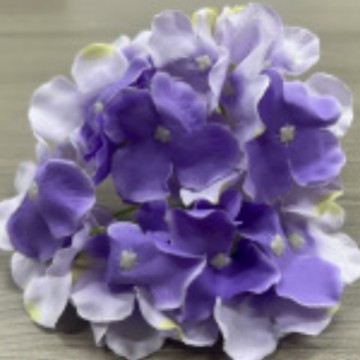 사각 수국 - 짙은 보라색 배색