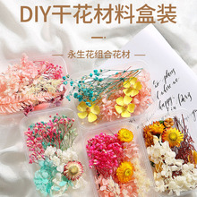 干花diy材料真花云南永生花风干天然树叶幼儿园手工装饰混合盒装