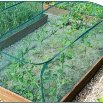 爆款弹出式园林遮阳网温密防虫防鸟户外植物罩