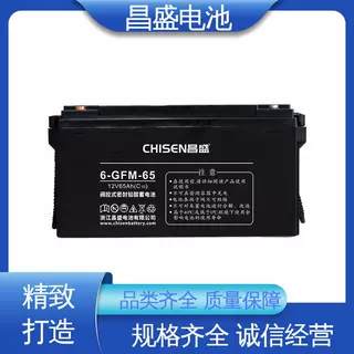 昌盛 6-GFMJ-65 eps应急电源 工业蓄电池 通信基站 质量可靠