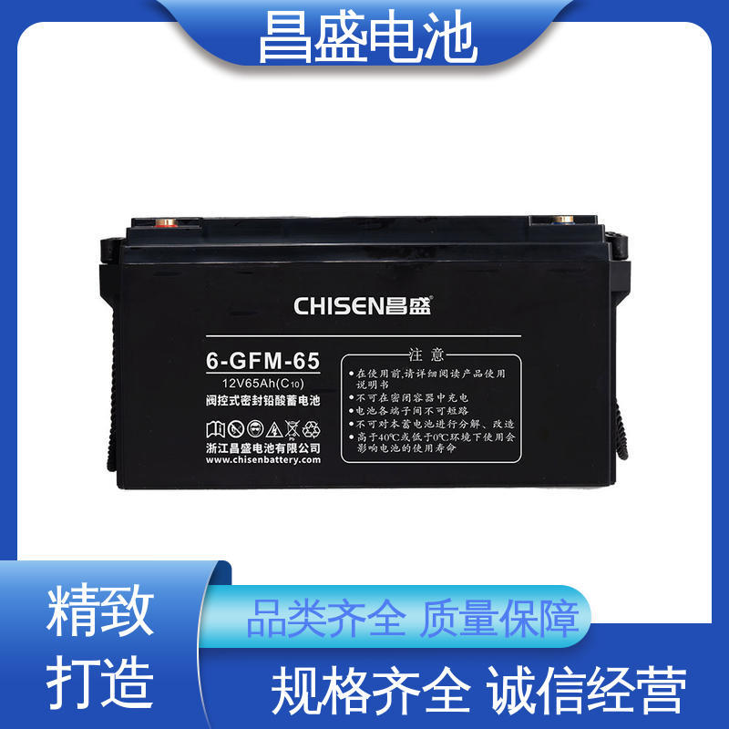 昌盛 6-GFMJ-65 eps应急电源 电池批发 玩具电源 材质优良