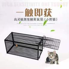 O1CN01naLyQt24mp0sdGc0y_!!2210