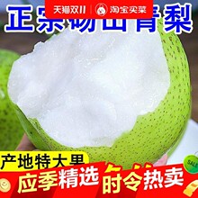 �Xɽ����ʹ������rˮ��������]������������ִ�����ѩ��