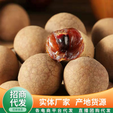 桂圆干一件代发500g核小肉厚龙眼干泡水壳薄煲汤桂圆大果干龙眼