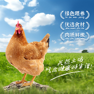 ��S���l��eɽ�S����ĸ�u���r���u�F���r��ɢ�B�ߵ�ĸ�u���u���l