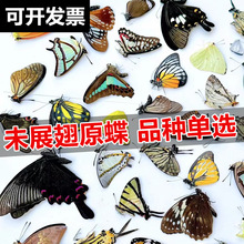 ������˱���ߵ�δչ��ԭ���s�����x�˱��׃��@�̌W�zӰdiy���l