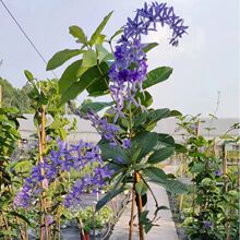 ���~�{�����S���Ů�����h�ļ��_�����ٻ��{����b����_�m���l