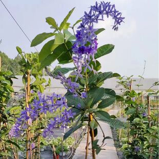 ���~�{�����S���Ů�����h�ļ��_�����ٻ��{����b����_�m���l