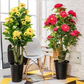 发财树绿植假树植物盆栽大型客厅落地室内装饰摆件塑料花盆景