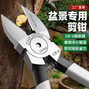 �辰���߈@ˇ���Q��֦����ˮ���Q�������������~ѿ����ˇ�Gֲ