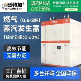 燃气1-10吨蒸汽发生器全预混立式低氮天然气锅炉橡胶硫化工业设备