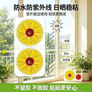 �nω�Nճω�lճω���p�揊��ճω��ճω�������N�nω������ճ����