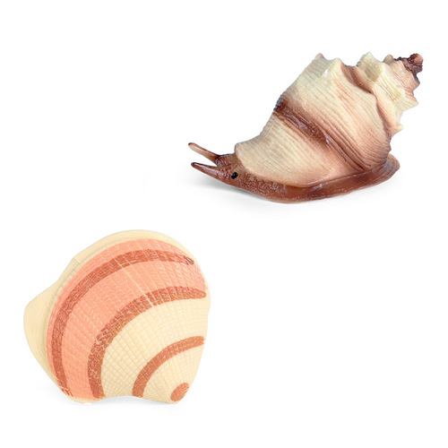 Children's early education science and education beach toys static conch shell jellyfish simulation marine animal model decorative ornaments
