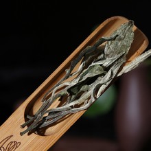 批发云南普洱茶叶月光美人生茶白茶明前头春乔木大树一口料500g