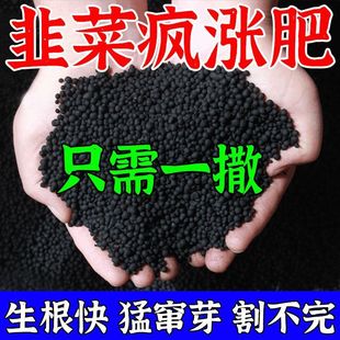 �²ˌ��ø߮a����������Ϲ��߲˻������ԾGֲ��N��ͨ�÷�