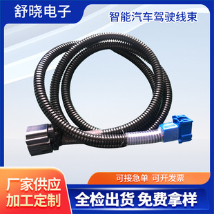 Shanghai manufacturers supply smart car driving wiring harness in stock wholesale can be customized according to customer requirements