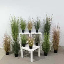 ����ֲ��ëë�x���Ԉ����bٻ���β�ͲݾƵ��Ĕz�ٵ��߷���Gֲ