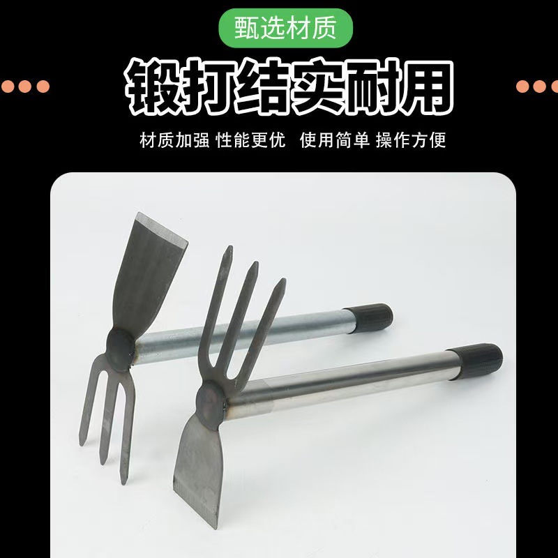 微信图片_202503301441352.jpg