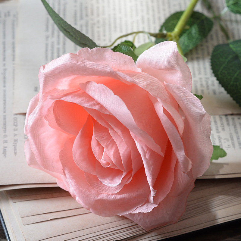 Large silk coral pink