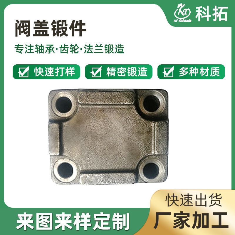 锻造生产锻打红冲加工自由锻件毛坯不锈钢铁件阀盖锻件