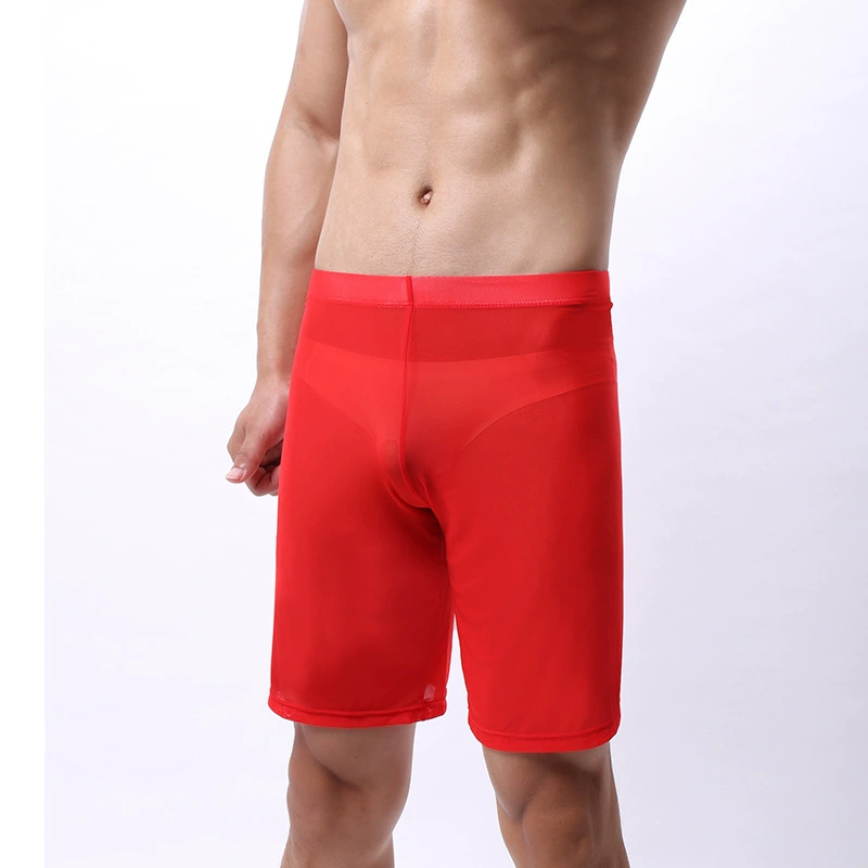 Sexy ultra thin mesh underwear, elastic breathable long trousers