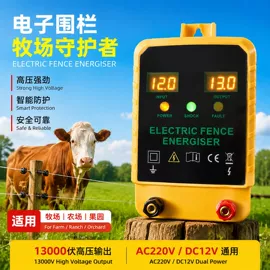 集成防盗系统