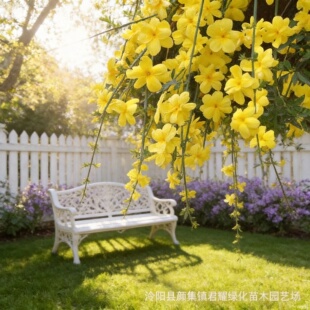 ӭ�������绨��ͥԺ�B�N����ֲ���ļ��_���ͺ��G�������Sܰ���~