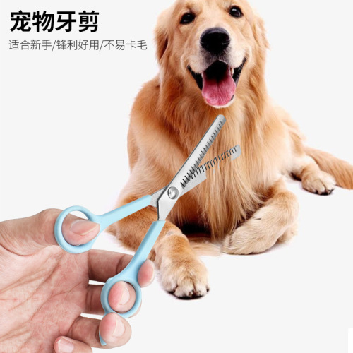 Manufacturer wholesale stainless steel pet scissors, easy to clean hairdressing scissors, pet hairdressing and grooming scissors with fine teeth