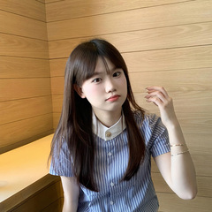 韩系学院风刺绣蓝色条纹短袖衬衫女夏季百搭显瘦小众设计衬衣上衣