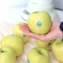 陕西瑞雪苹果 代发4.5斤礼盒新鲜应季爆甜多汁青平果水果礼品