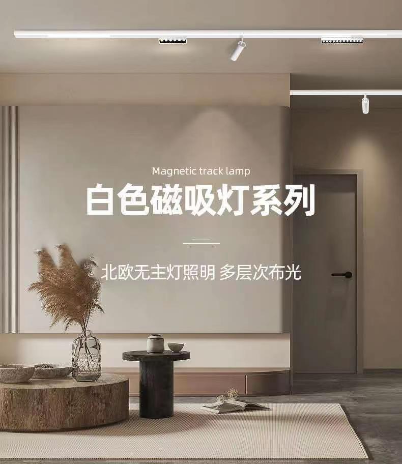 超薄磁吸轨道灯迷你明装白色矮款极窄嵌入式预埋导轨磁吸射灯无主-阿里巴巴