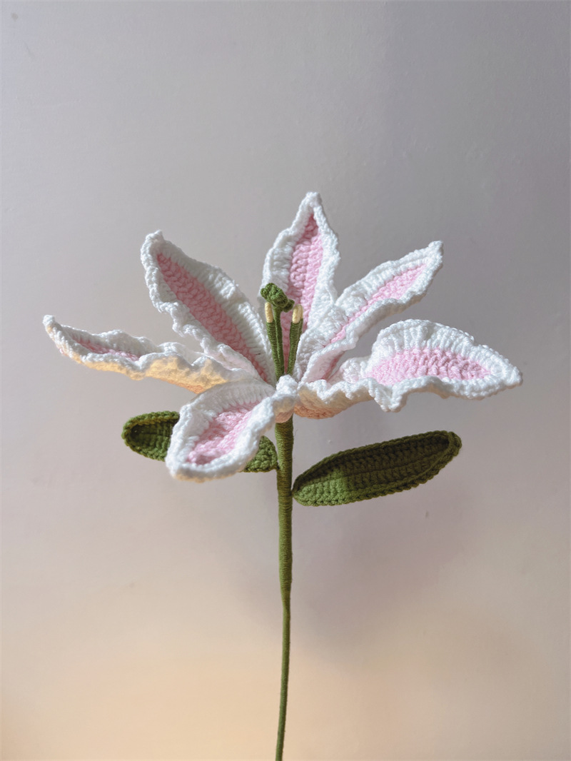 450g Weight Crochet Flowers Home Textiles & Decor Type Artificial Plant Event & Party Supplies 1 Piece Quantity Casual, Home, Daily Occasion yarn Material Flower Pattern Pastoral Style Pastoral Flower Yarn Crochet Flowers Artificial Flowers 5