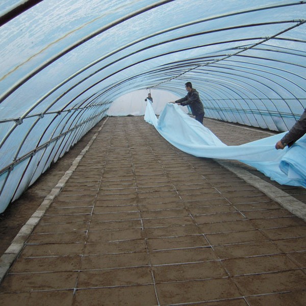 厂家直销 抗UV无纺布PP纺粘不织布 农业用香蕉袋无纺布批发