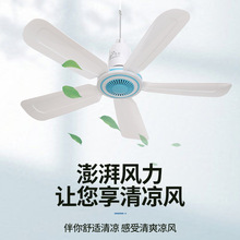 1050���D�ٴ������L�ȌW�������Î��ȼ��Ò���С���ȏS�Ҵ��l