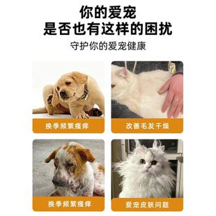 �ɶ಩ʿƤ�w�B�o�ڷ�Һ���A��؈��ͨ��Ƥ�w���B���o������